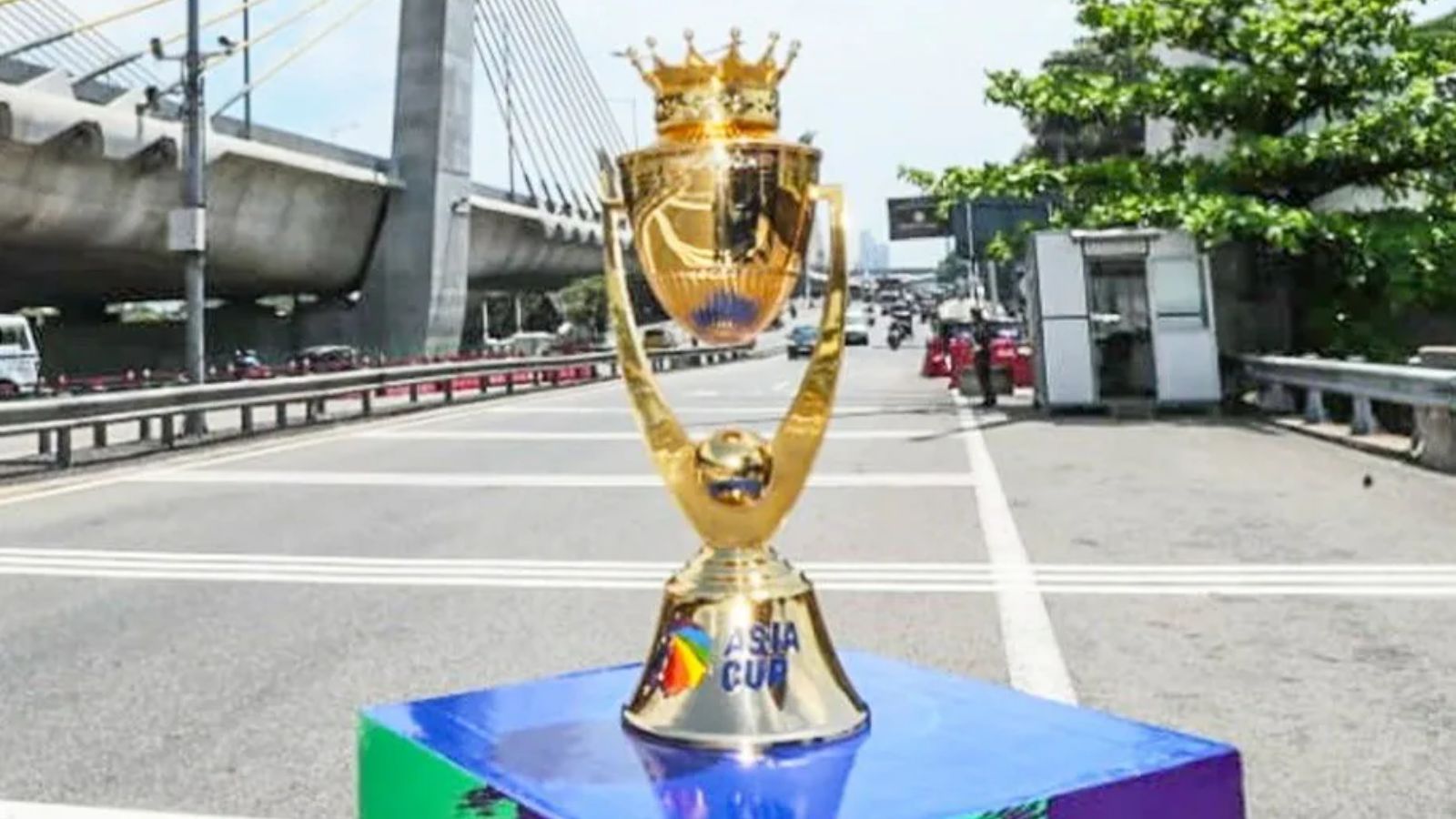 এশিয়া কাপ ২০২৫: 'সাপের ছুঁচো গেলা,' বিসিসিআই-এর বদলে এমিরেটস ক্রিকেট বোর্ডকে ট্রফি নকভির