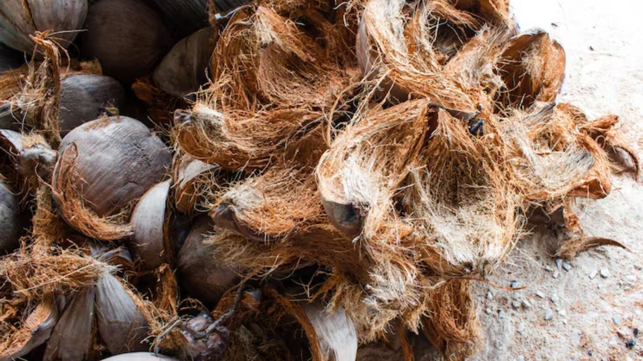 coconut husk reuse idea 