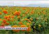 flower rate shoot up in Seelyampatty 