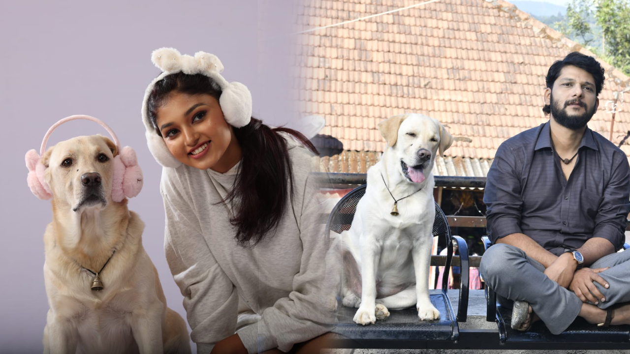 naanu matthu gunda 2 movie release date