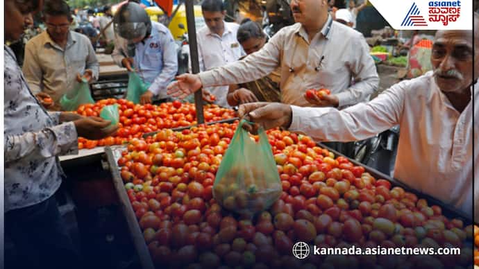 After onion now tomato prices have also fallen to just Rs 10 per kg belagavi
