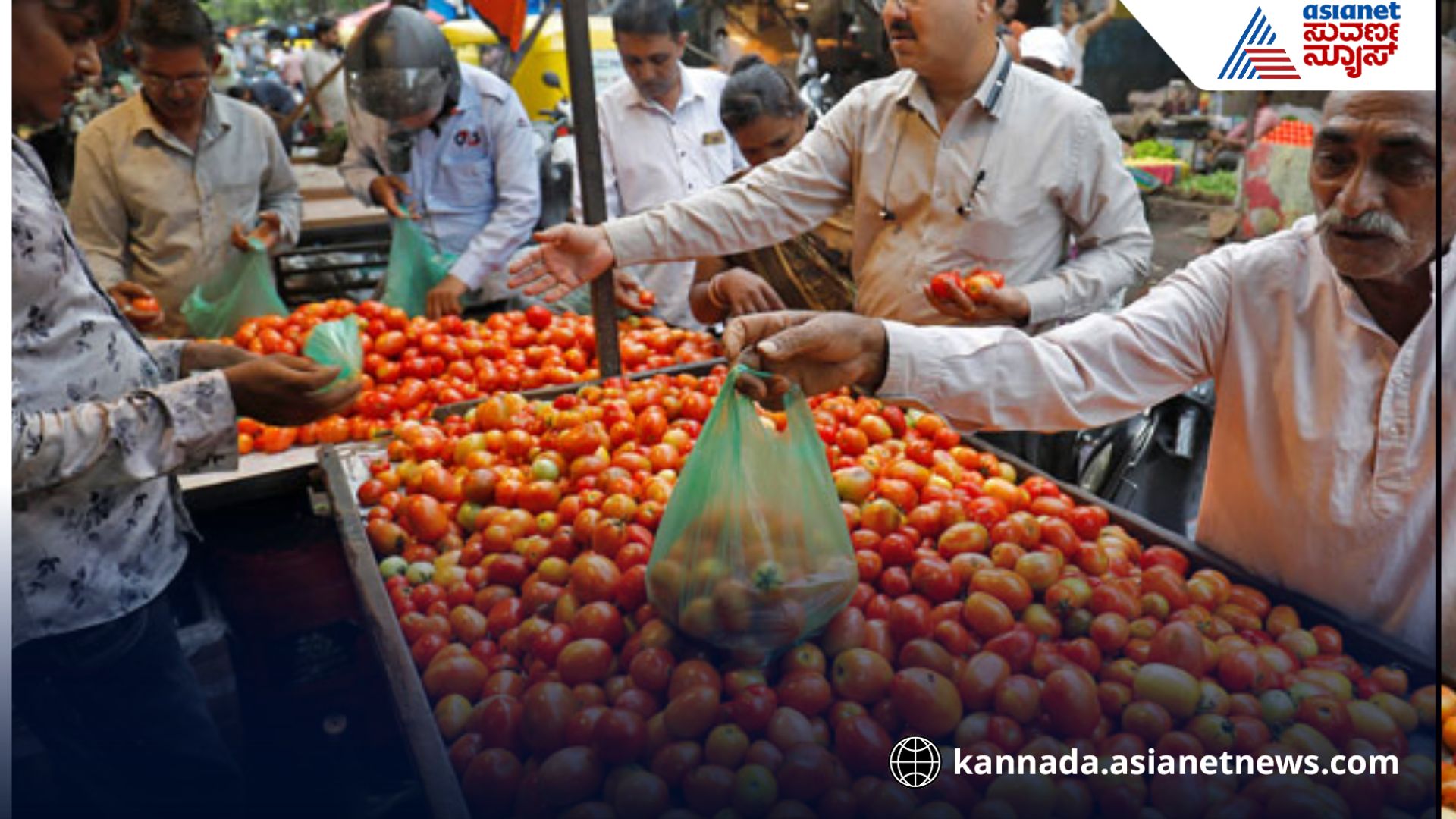 After onion now tomato prices have also fallen to just Rs 10 per kg belagavi