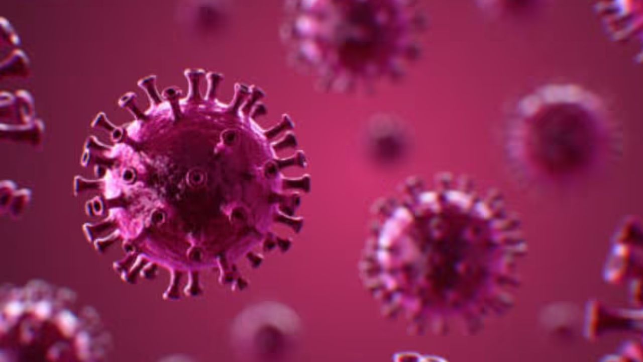 H3N2 Virus H3N2 Virus