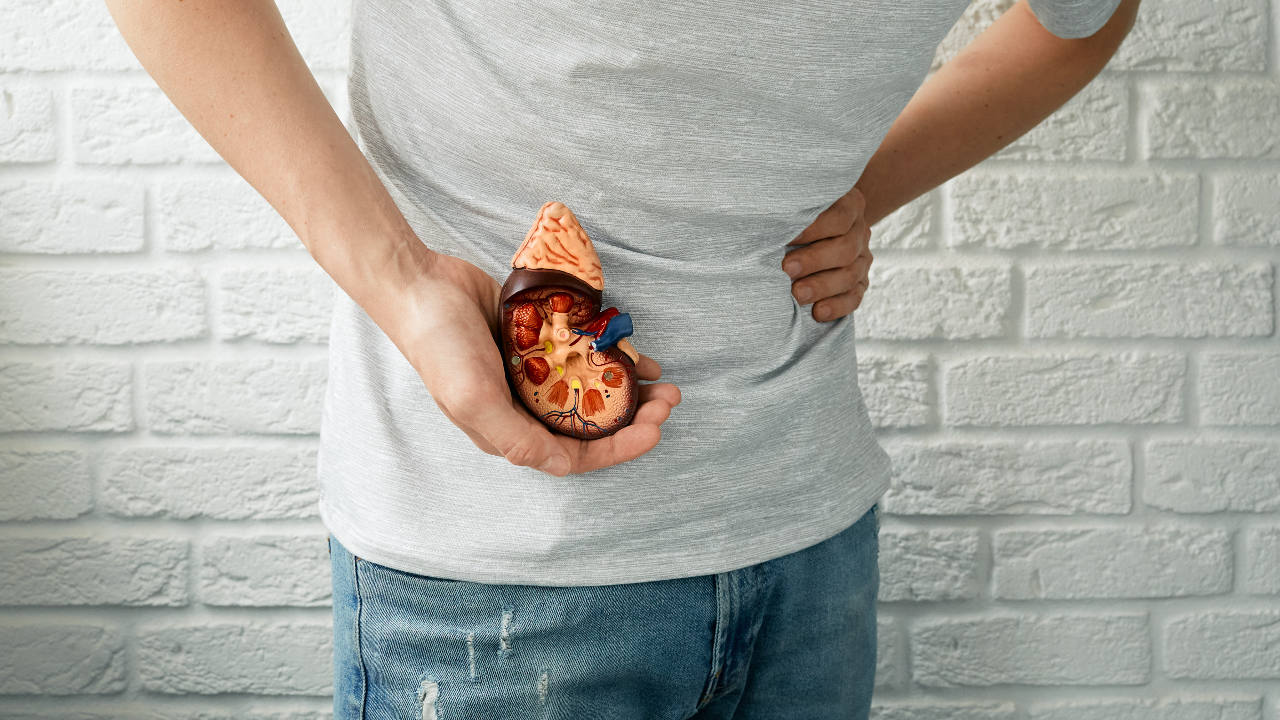 lifestyle changes that strengthen the kidneys