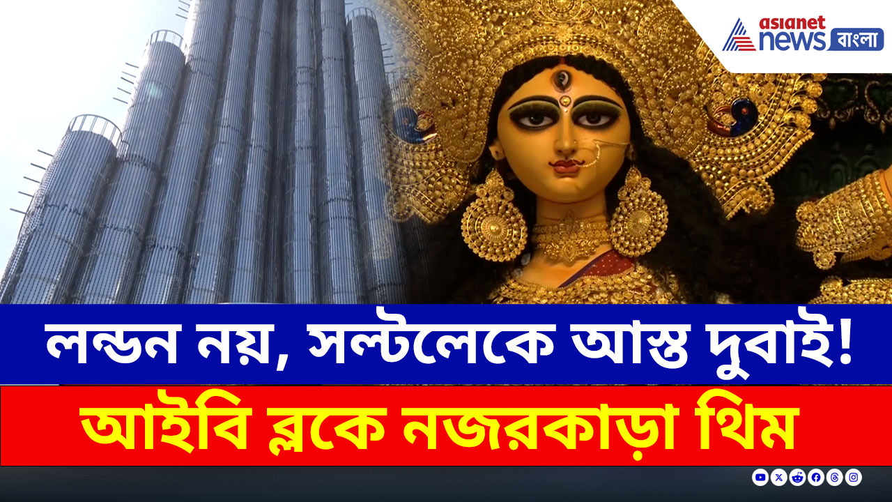 Durga Puja 2025 : লন্ডন নয়, সল্টলেকে আস্ত দুবাই! আইবি ব্লকে নজরকাড়া থিম