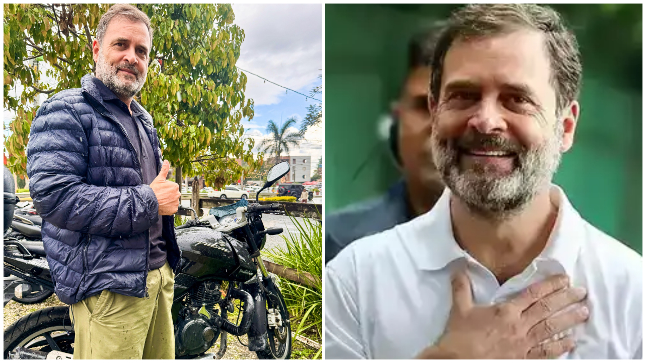 rahul gandhi pulsar rahul gandhi pulsar