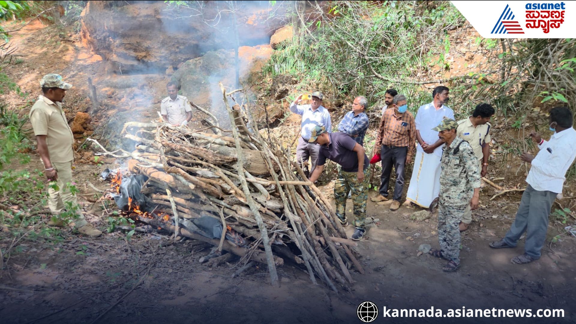 Chamarajanagar tiger 
