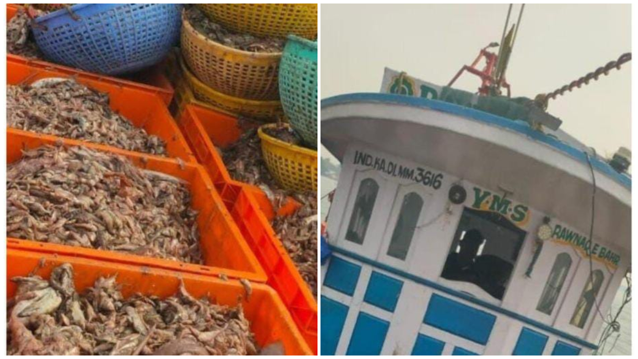 for the first time record fine of 21 lakhs 5000 kilo fish seized