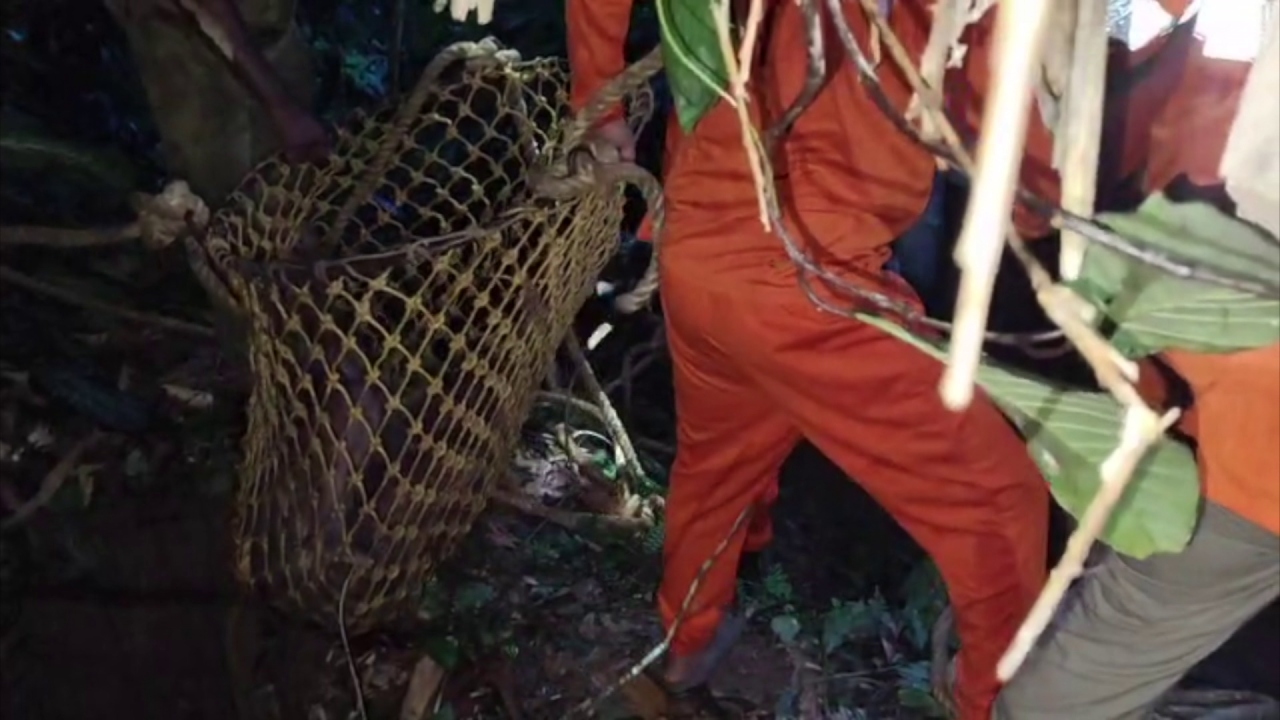 Missing elderly woman found from well in Kollam