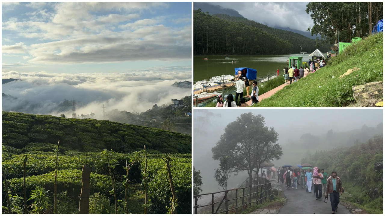 Munnar short trip plan all you need to know