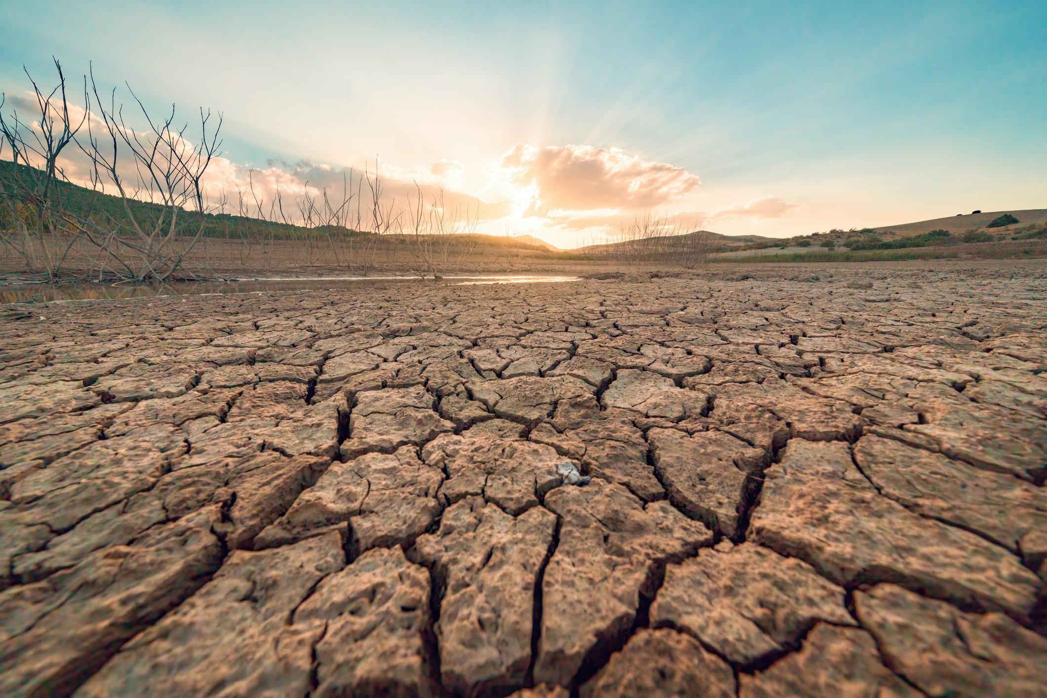 Drought 