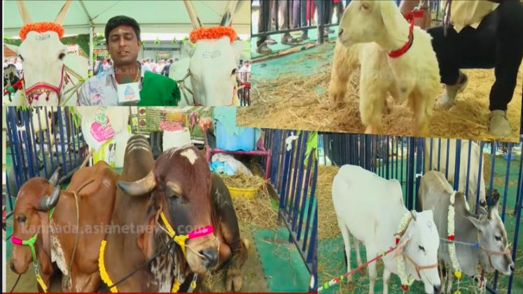 Gkvk krushi mela 2025 Gkvk krushi mela 2025