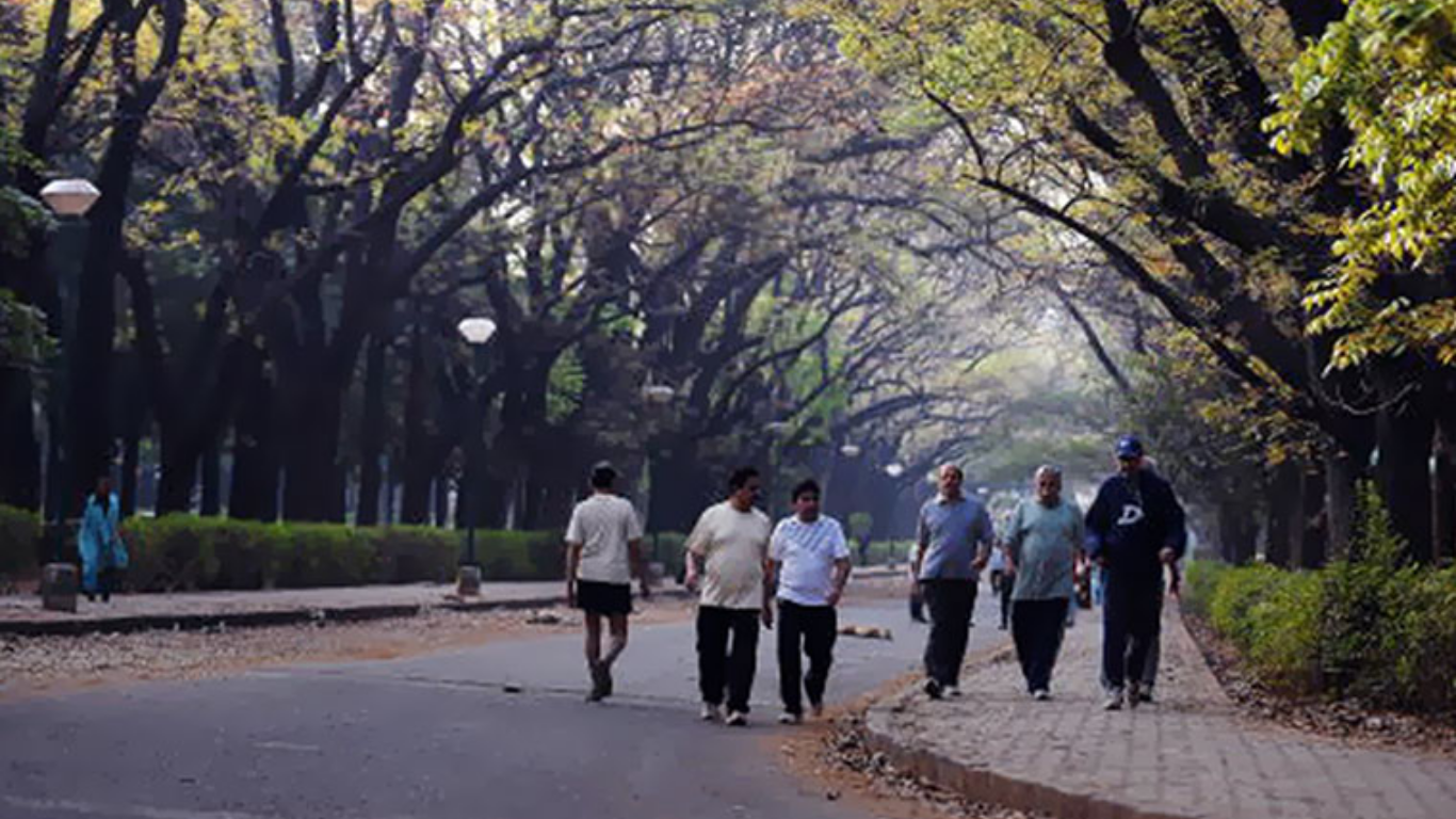 cubbon park