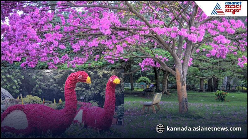 Cubbon Park Flower Show