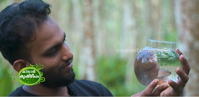 അപൂർവ മത്സ്യങ്ങളുടെ കൃഷിയുമായി ജോജി