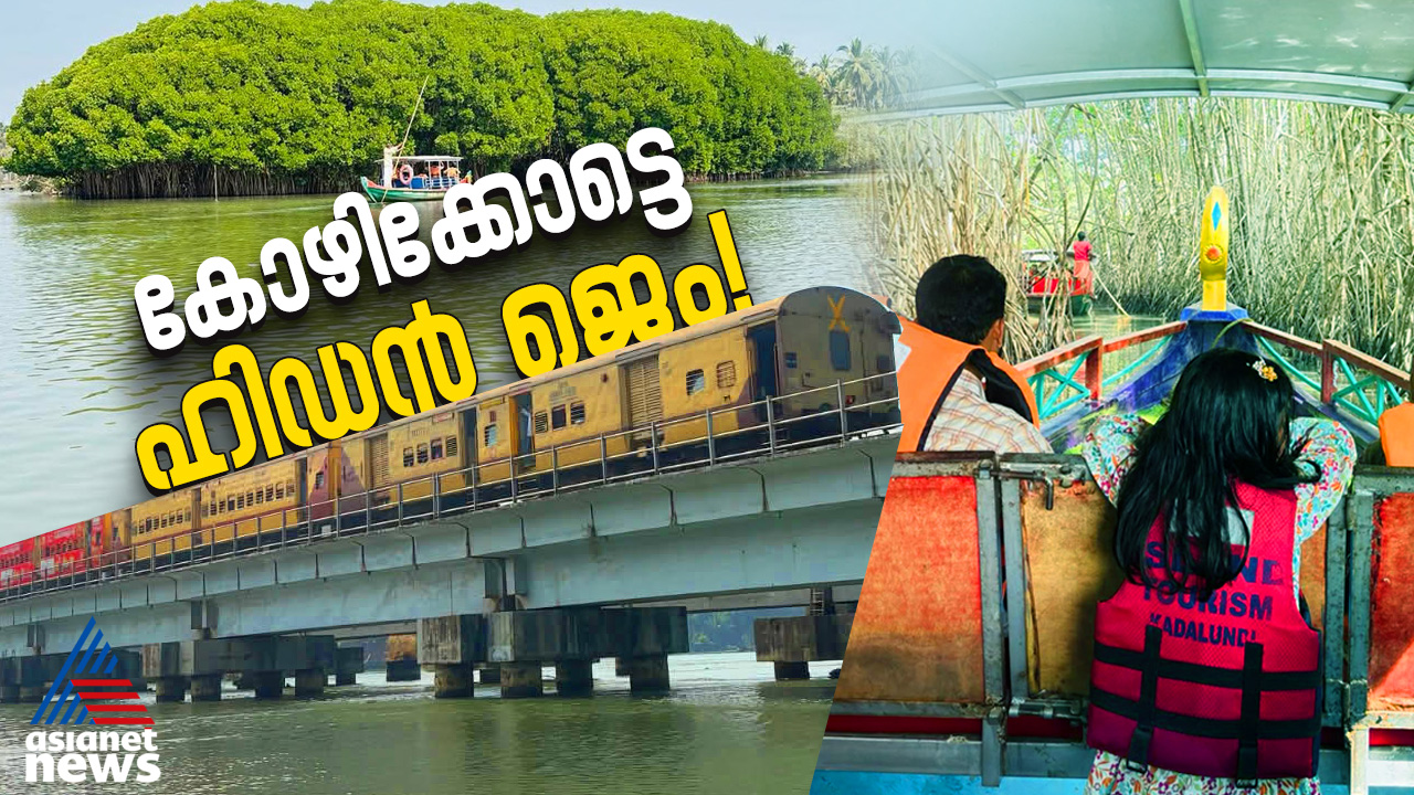 കണ്ടൽക്കാടുകൾ കടന്ന്... കടലുണ്ടി പക്ഷിസങ്കേതത്തിലൂടെ ഒരു തോണി യാത്ര