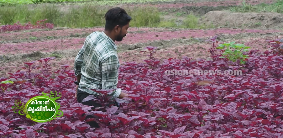 കൃഷിയെന്ന തൻ്റെ സ്വപ്നം സാക്ഷാത്കരിച്ച തിരുവനന്തപുരം സ്വദേശി അനിൽ