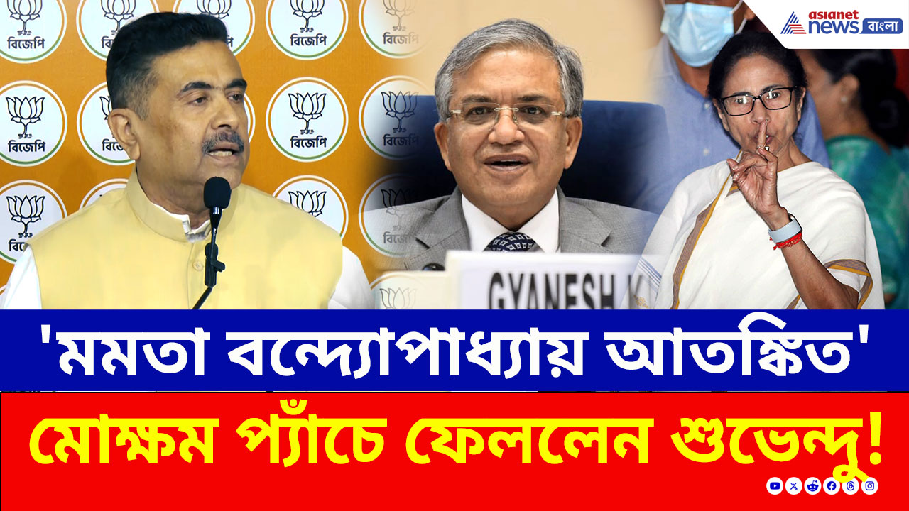 SIR নিয়ে বড় লড়াই! 'একের পর এক মিথ্যা বলছেন মুখ্যমন্ত্রী' কমিশনে পাল্টা চিঠি শুভেন্দুরও