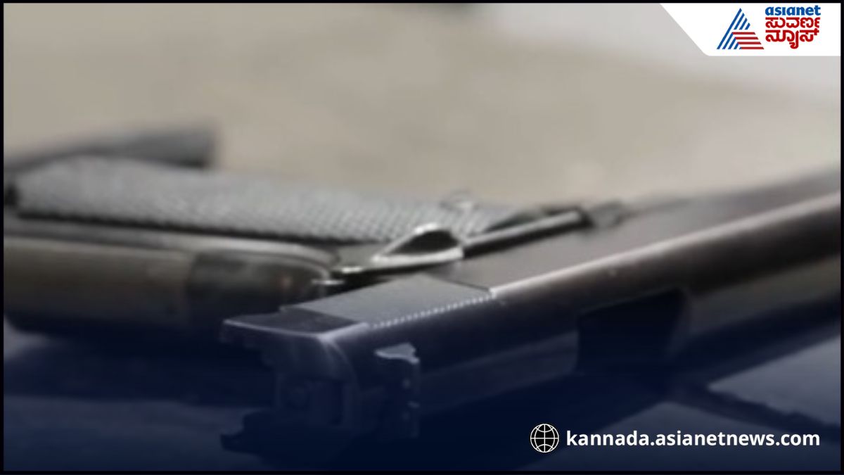 Gun