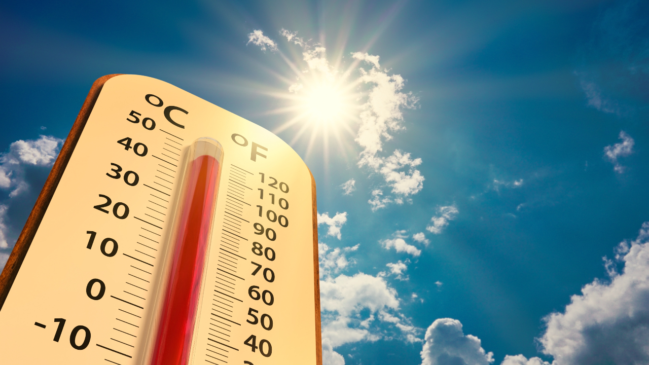 temperature 