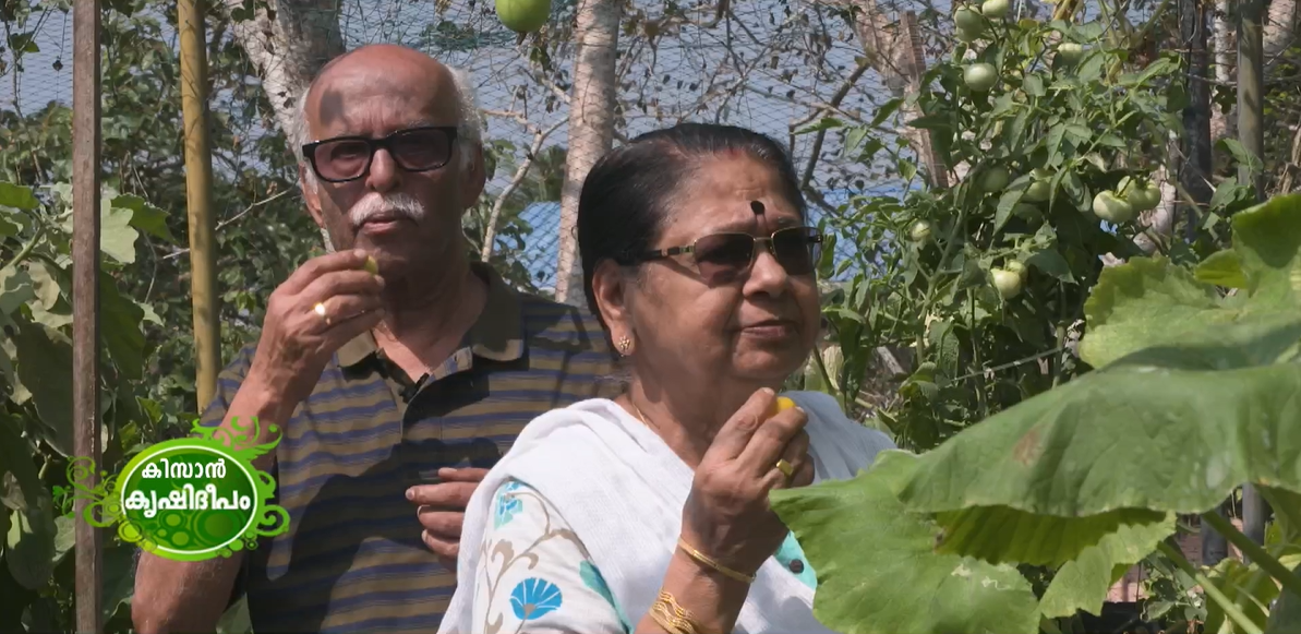 കണ്ണുകൾക്ക് ആനന്ദമേകുന്ന ജൈവ വൈവിധ്യം