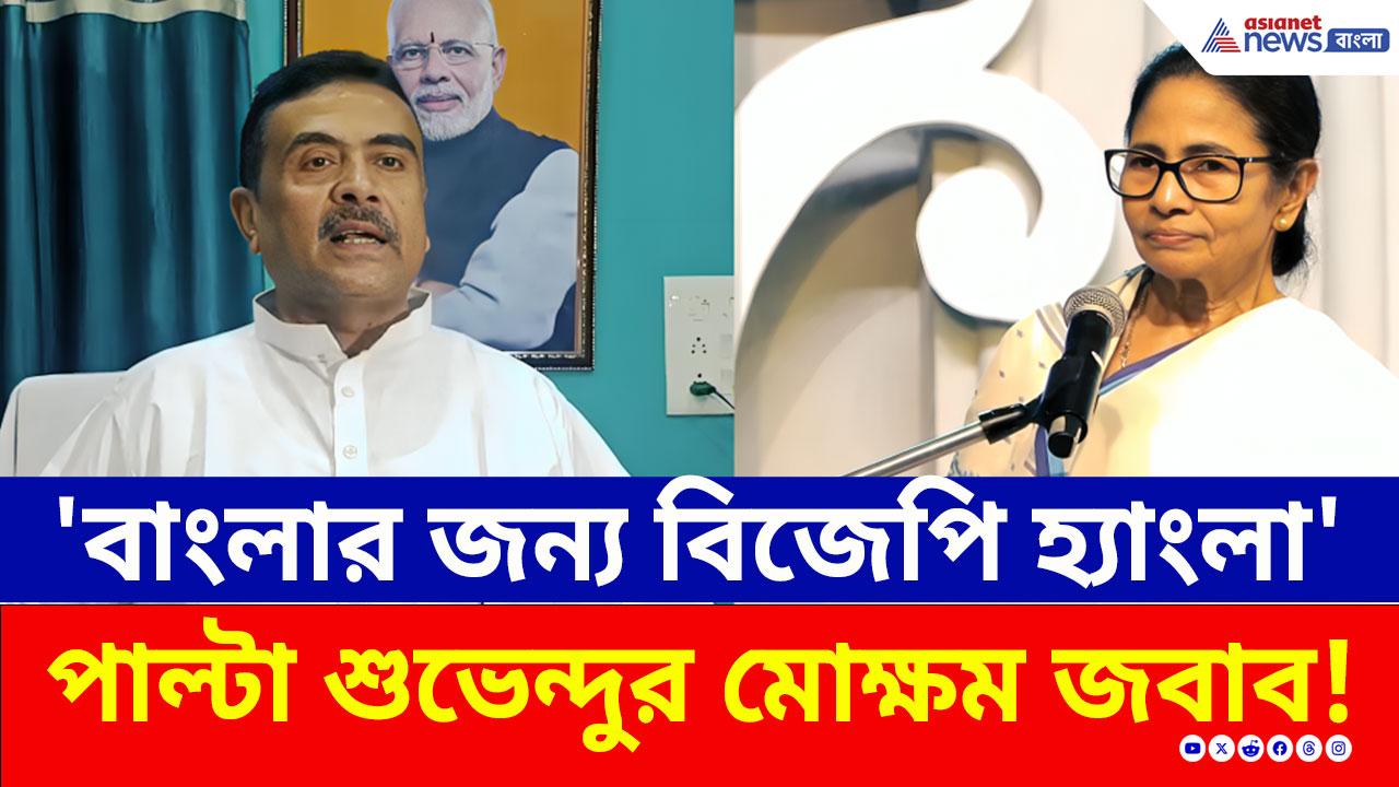 'হ্যাংলা' কটাক্ষের পাল্টা 'দেড় হাজার'-এর খোঁচা! মমতা-শুভেন্দুর জোর টক্কর! দেখুন