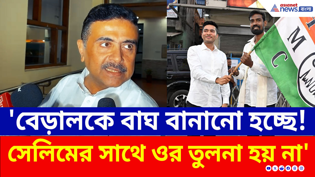 'ডায়মন্ড হারবারে কেন লড়েননি বোঝা গেল!, বিড়ালকে বাঘ বানান হচ্ছে' ধুয়ে দিলেন শুভেন্দু
