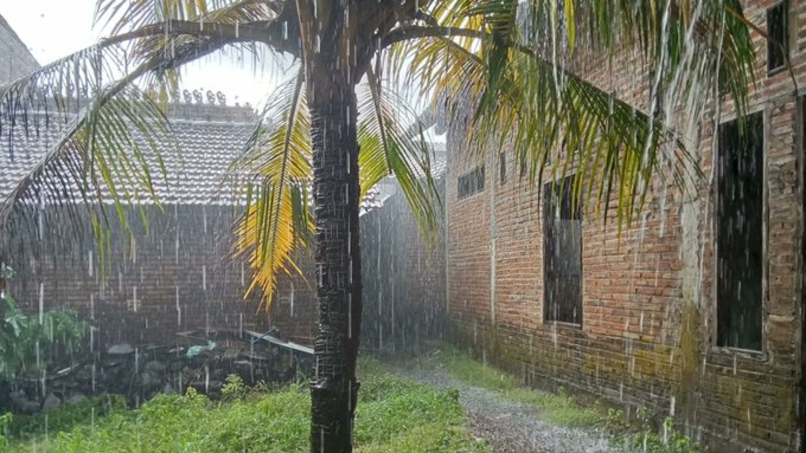 Delhi Weather LATEST Update: IMD Issues Yellow Alert as Rain Triggers Waterlogging Across NCR