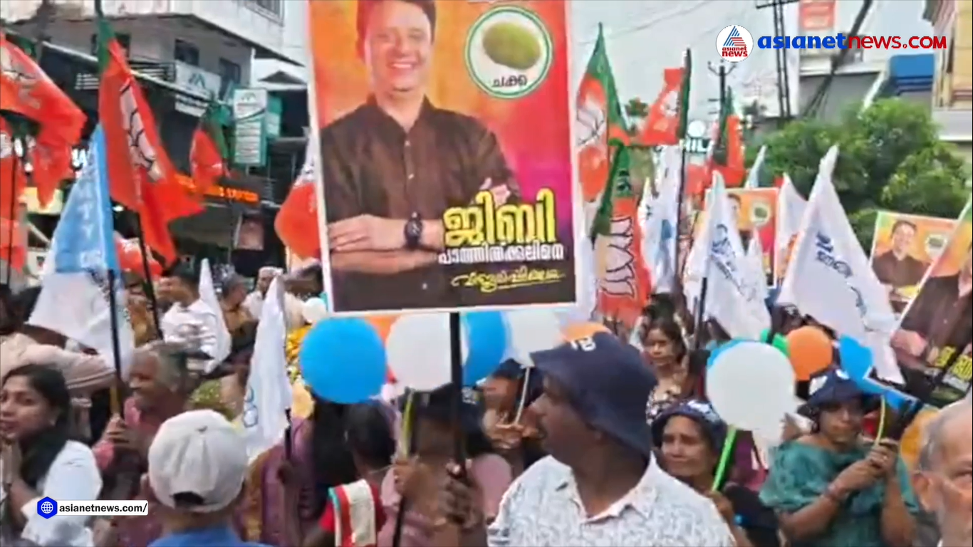 പെരുമ്പാവൂരിൽ മത്സരത്തിനൊരുങ്ങി ജിബി പാത്തിക്കൽ | Perumbavoor