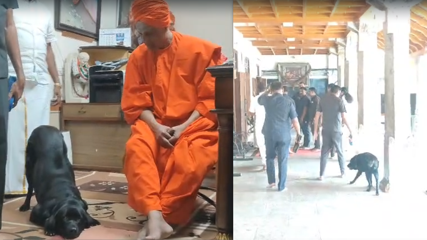 ಸಿದ್ಧಗಂಗಾ ಮಠಕ್ಕೆ ರಾಷ್ಟ್ರಪತಿ ಆಗಮನ ಹಿನ್ನಲೆ, ಭದ್ರತಾ ತಪಾಸಣೆ ನಡುವೆ ಶ್ರೀಗಳಿಗೆ ಸಲ್ಯೂಟ್ ಹೊಡೆದ ಶ್ವಾನ