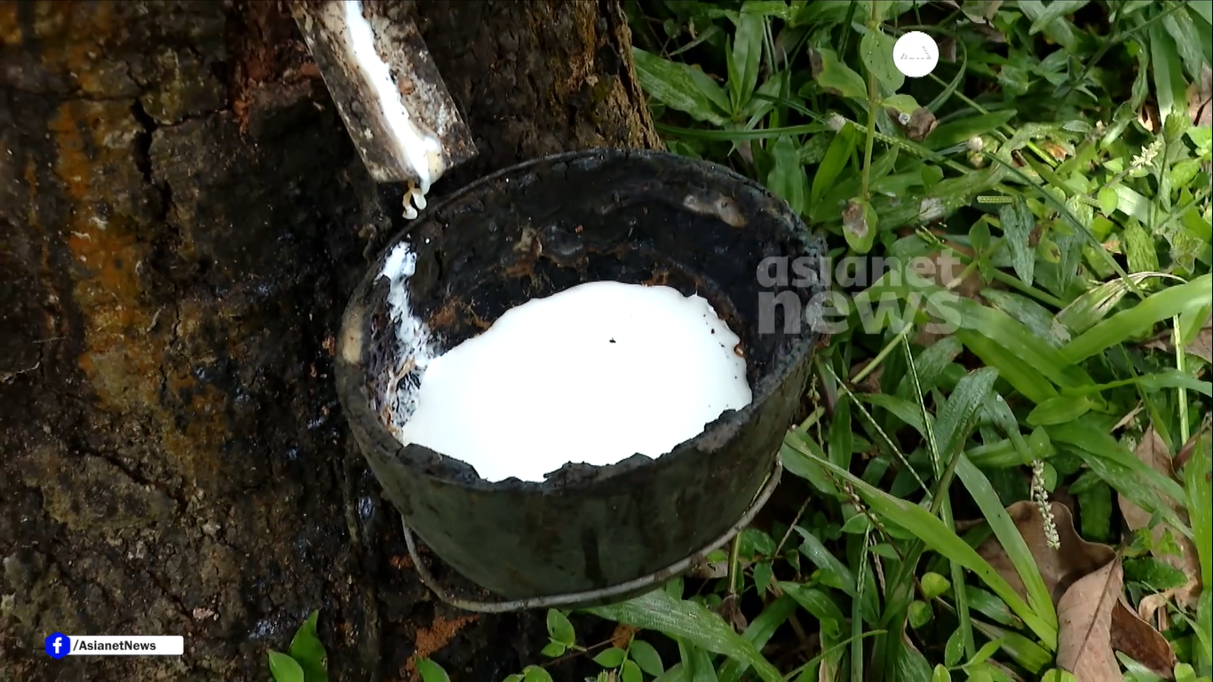 ഇടതുപക്ഷത്തിന്റെ റബര്‍ കര്‍ഷക പ്രേമം തട്ടിപ്പെന്ന് യുഡിഎഫ് | Kerala Assembly Election 2026