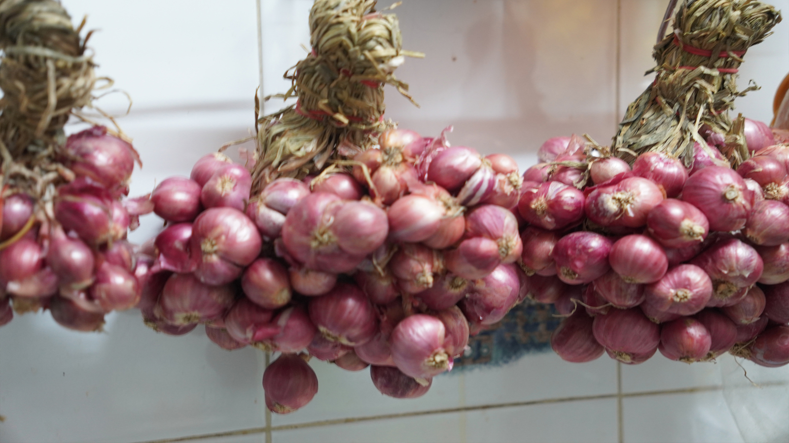 onion