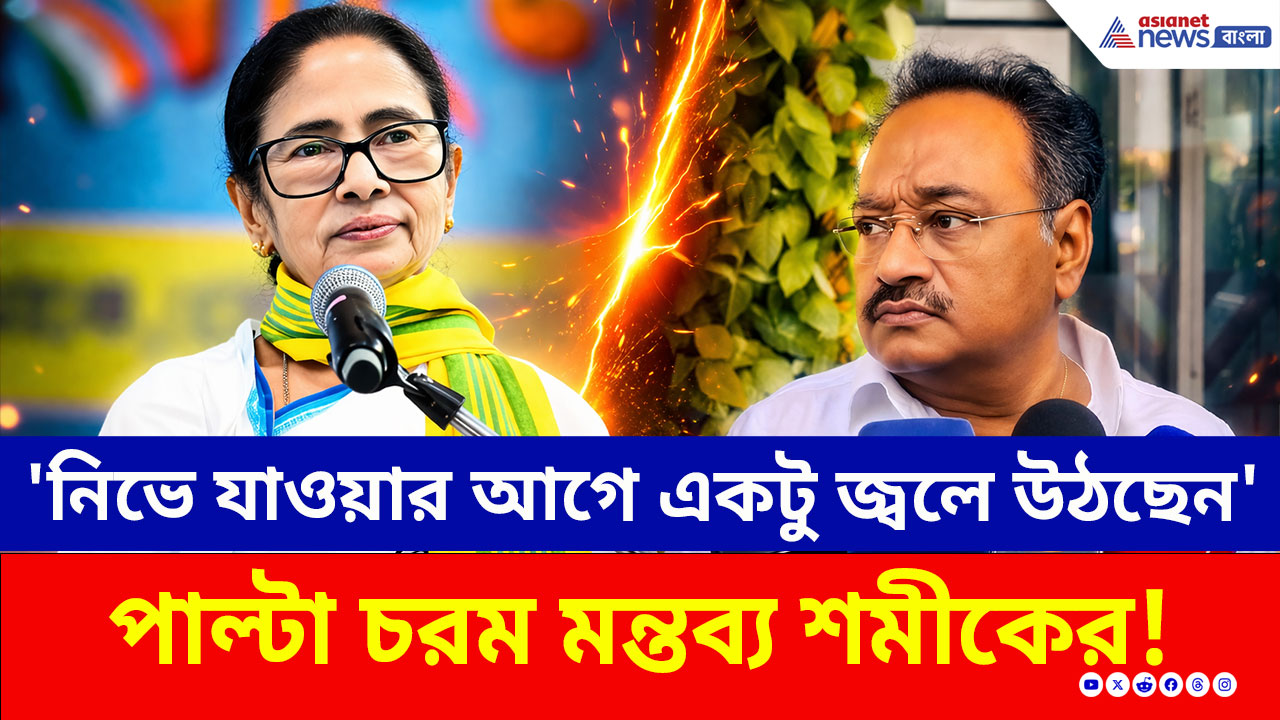 Mamata vs Samik: 'তৃণমূল শেষ, নিভে যাওয়ার আগে প্রদীপ জ্বলছে!' মমতার মন্তব্যের পাল্টা দিলেন শমীক!