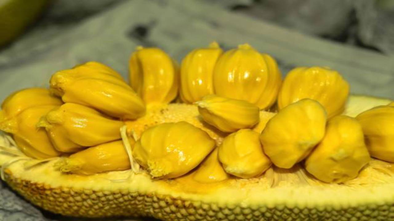 Jackfruit