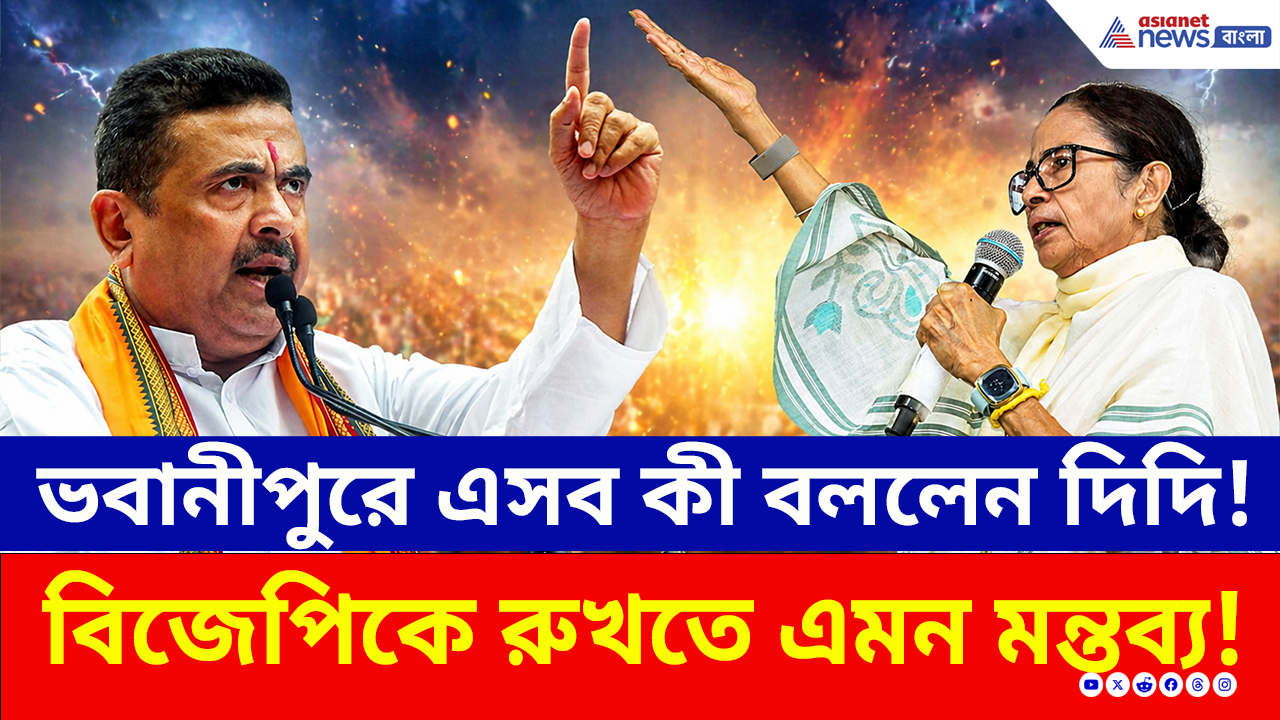 Bhabanipur: ভবানীপুরে বিজেপিকে রুখতে গিয়ে এসব কী বললেন দিদি! দেখুন ভিডিও