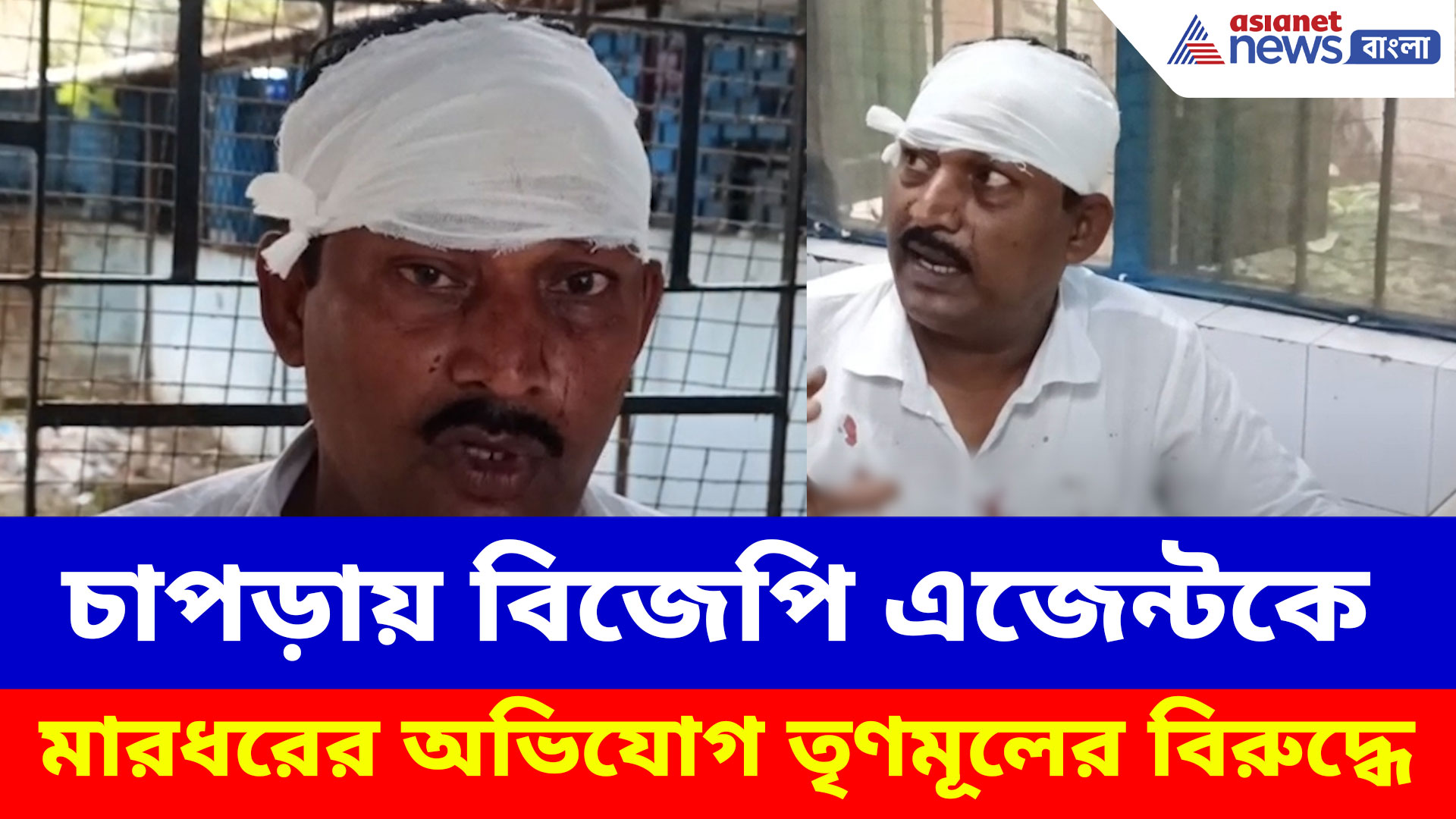 ভোট শুরু হতেই চাপড়ায় উত্তেজনা, বিজেপি এজেন্টকে মারধরের অভিযোগ তৃণমূলের বিরুদ্ধে