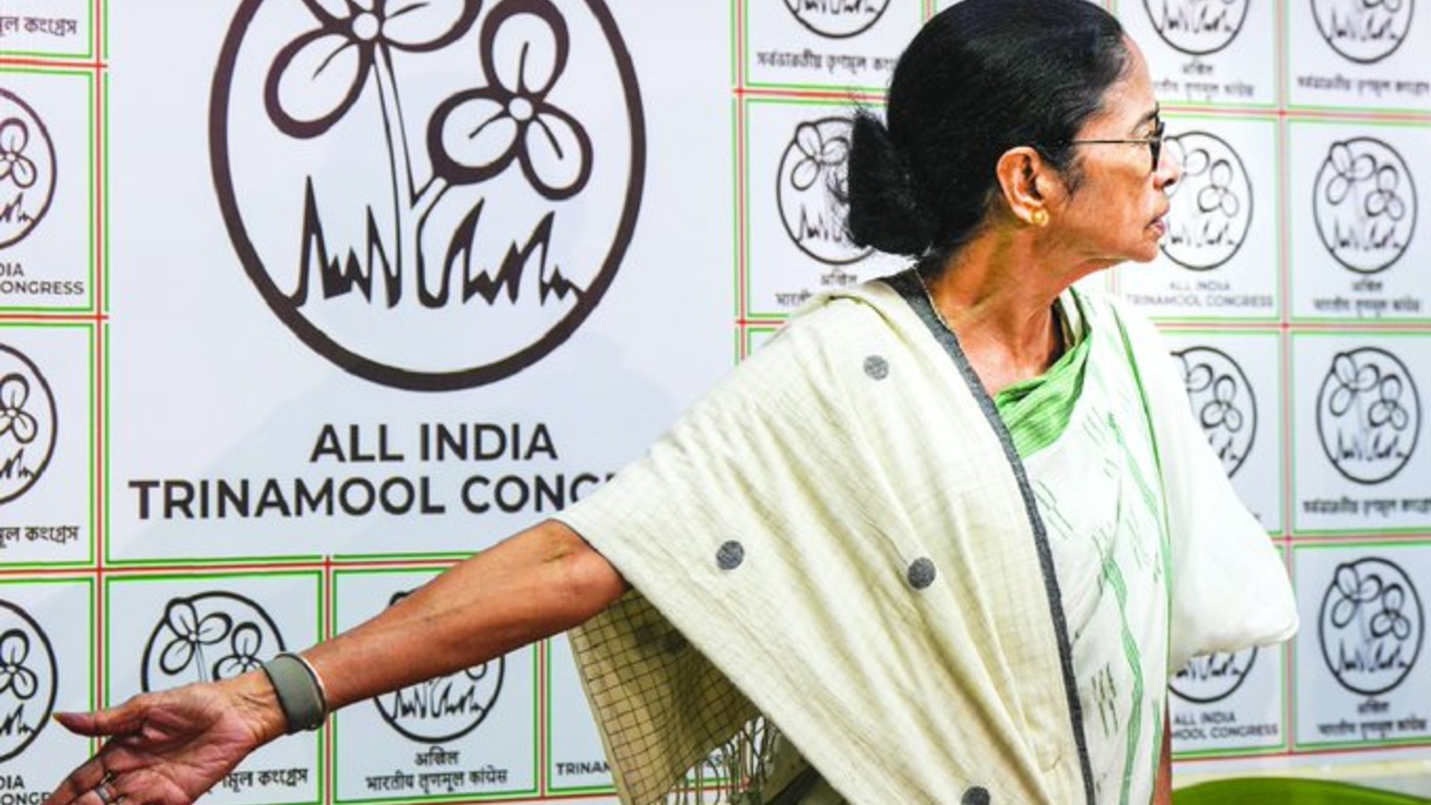 mamata banerjee 
