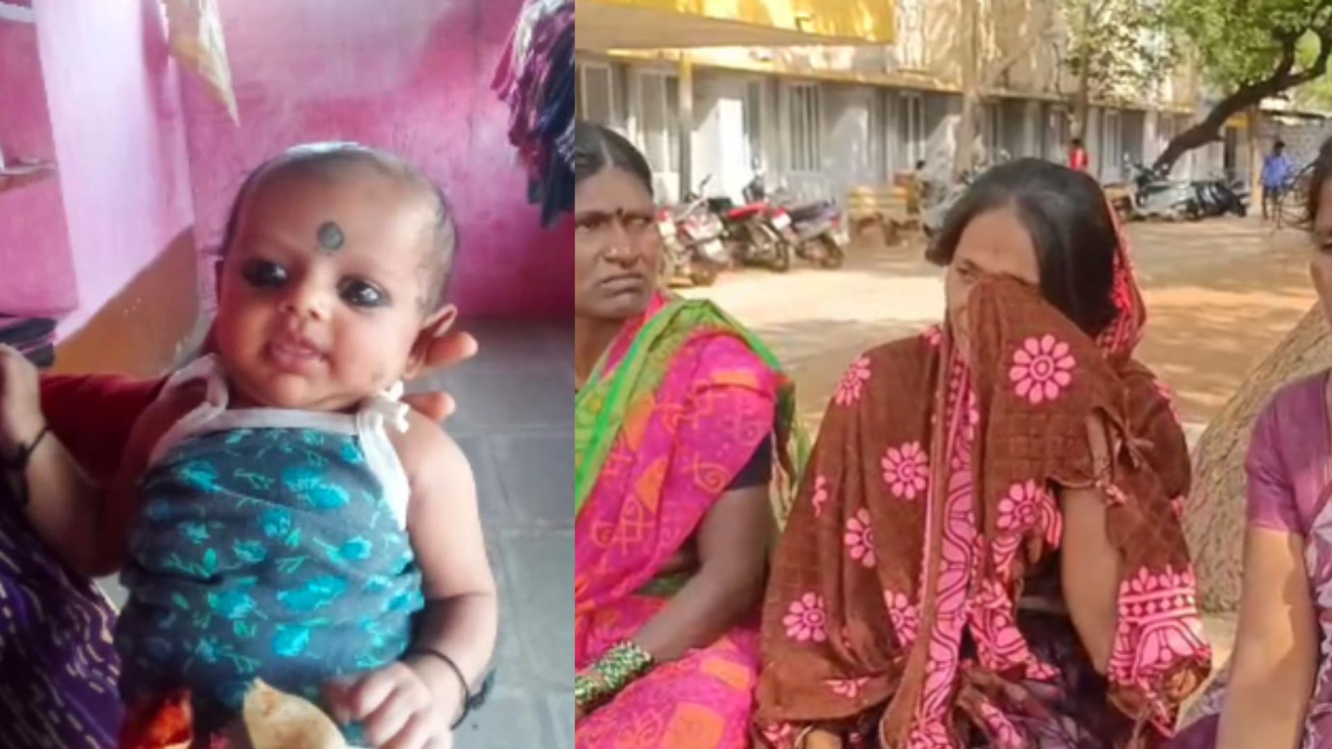 Bidar Horror Stray Dog Attacks 4 Month Old Baby Sleeping Inside House