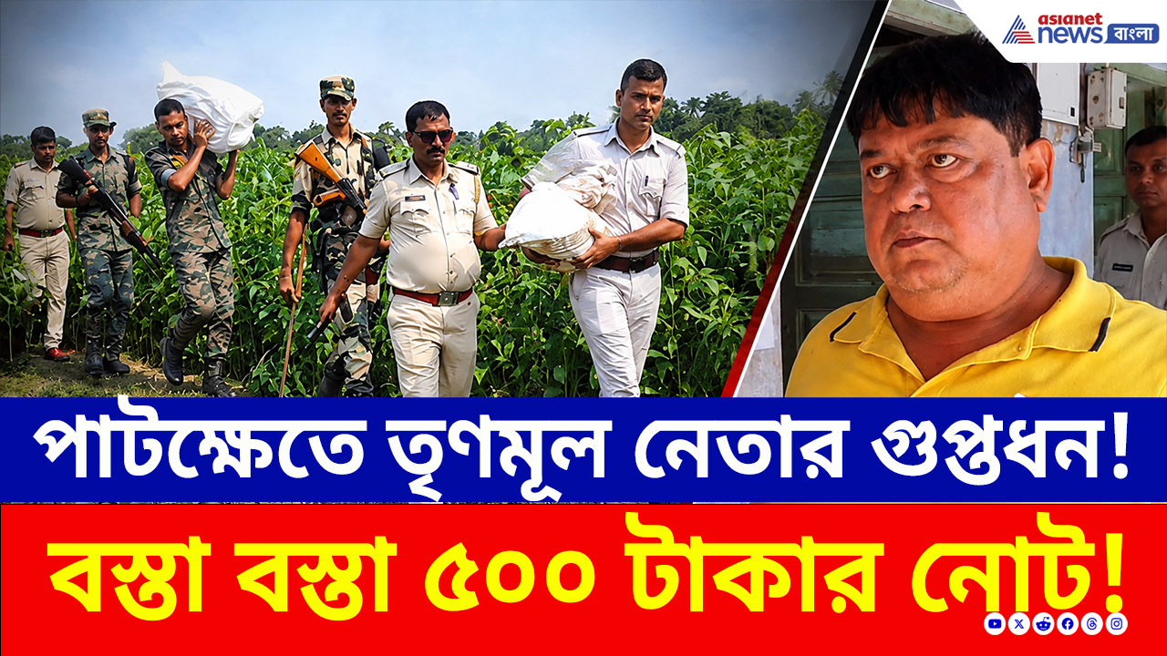 TMC News: তৃণমূল নেতার গুপ্তধন! পাটক্ষেতে গর্ত করে লুকিয়ে রেখেছিল বস্তা বস্তা টাকা, কী হল দেখুন!