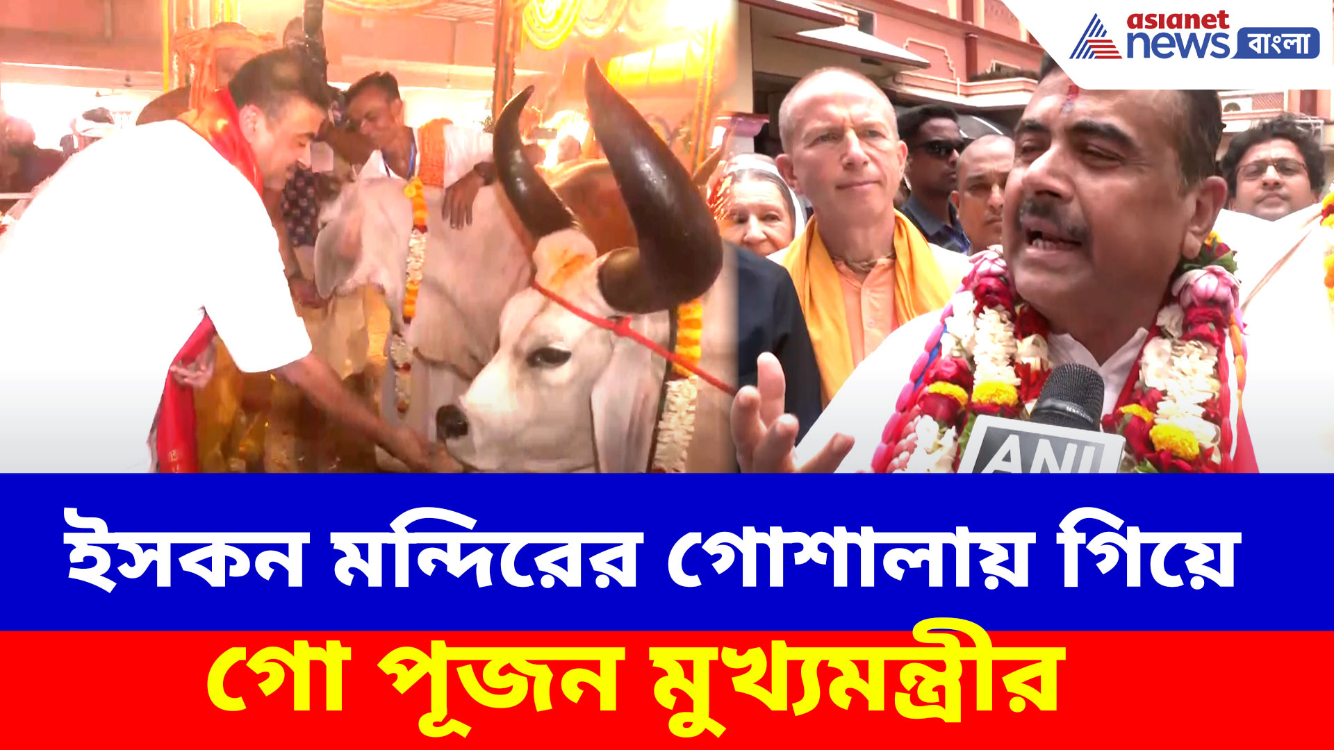 Suvendu Adhikari: ইসকন মন্দিরের গোশালায় গিয়ে গো পূজন মুখ্যমন্ত্রীর, ভাইরাল ভিডিও
