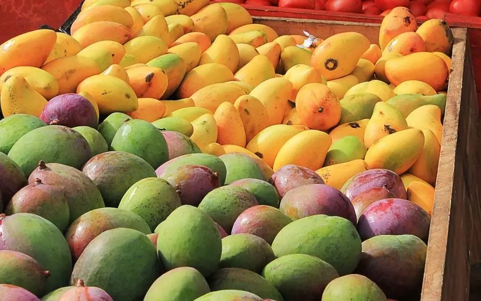 Mango