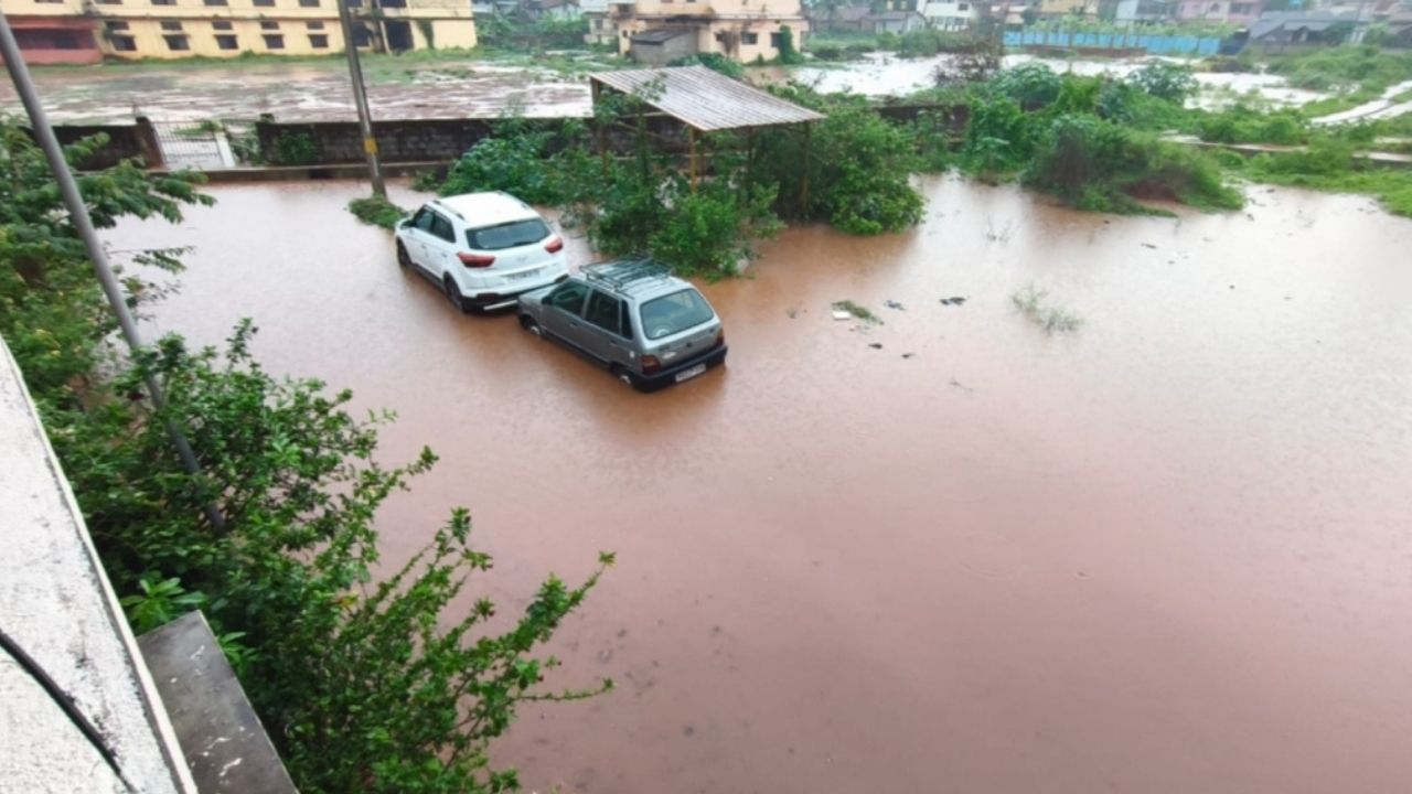 Rain