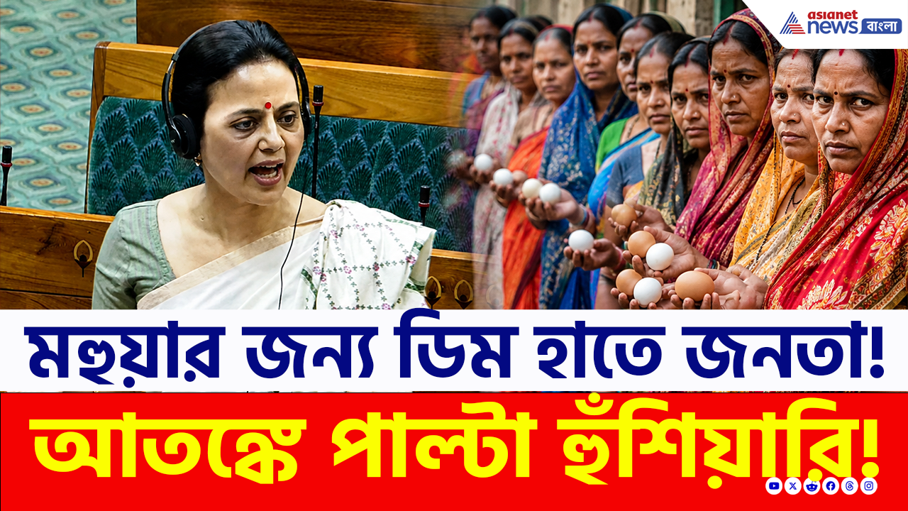 Mahua Moitra Egg Attack: ডিম হাতে মহুয়ার অপেক্ষায় জনতা! আতঙ্কে পাল্টা হুঁশিয়ারি তৃণমূল সাংসদের! ভিডিও ভাইরাল