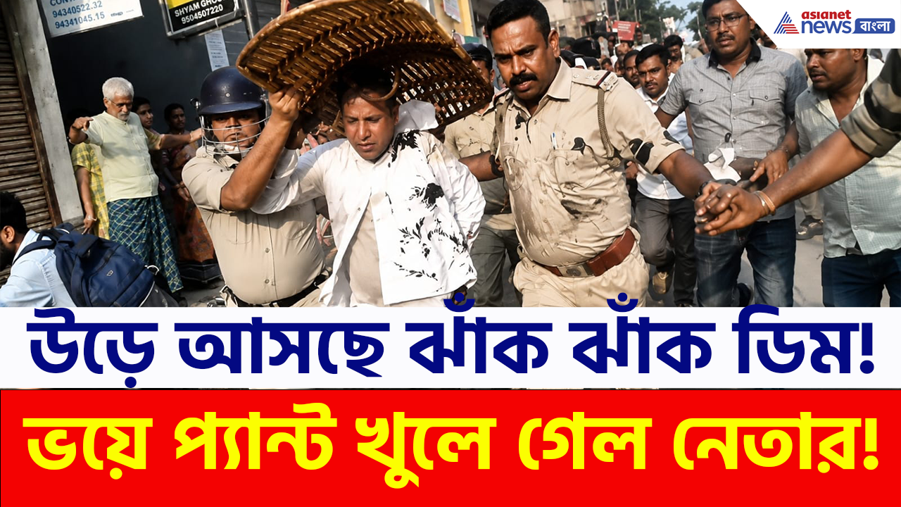 Arambagh Egg Attack: উড়ে আসছে ঝাঁকে ঝাঁকে ডিম! দৌড়ে পালাতে গিয়ে প্যান্ট খুলে গেল আরও এক তৃণমূল নেতার!