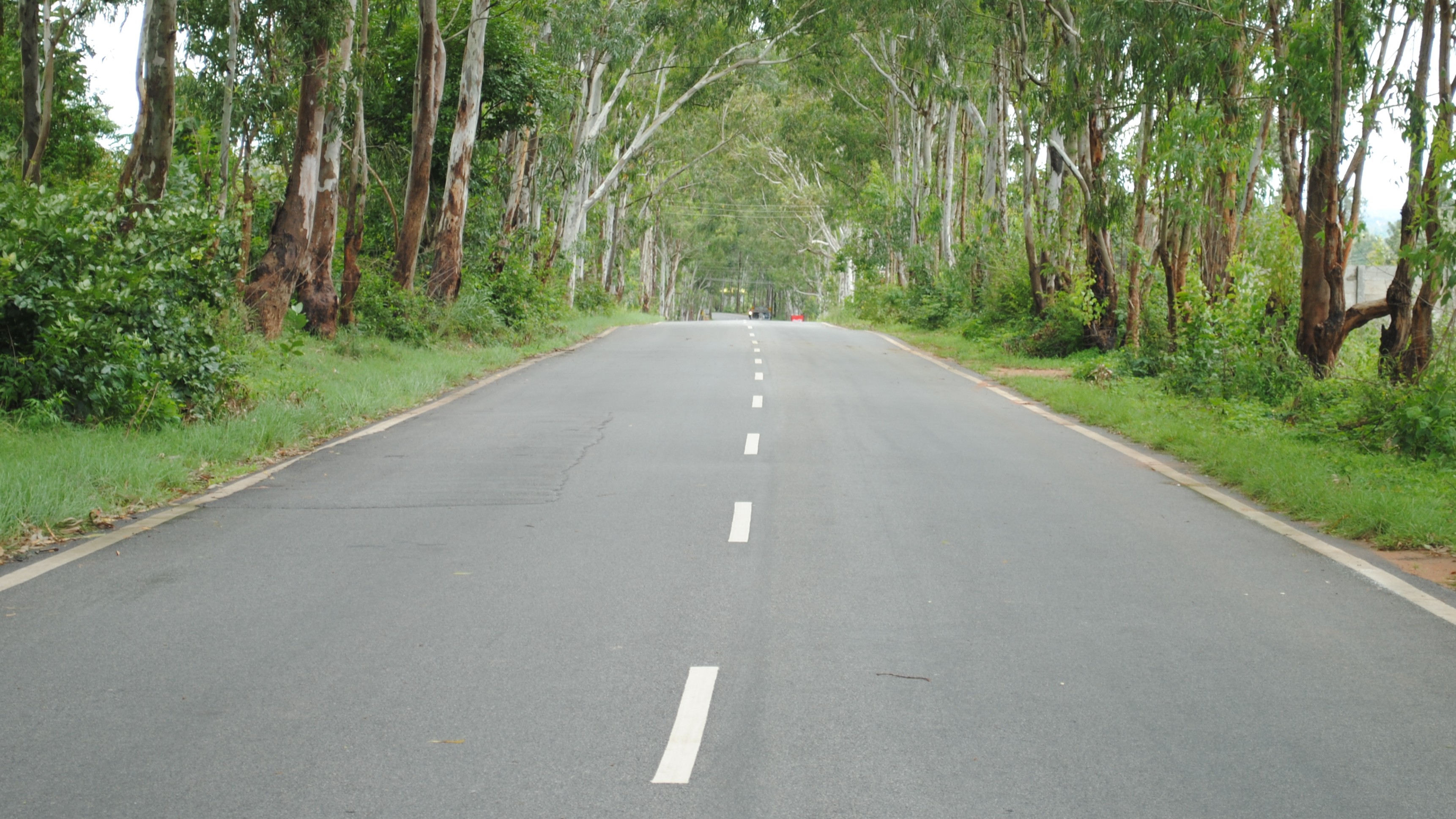 Banglore Honnavar Road