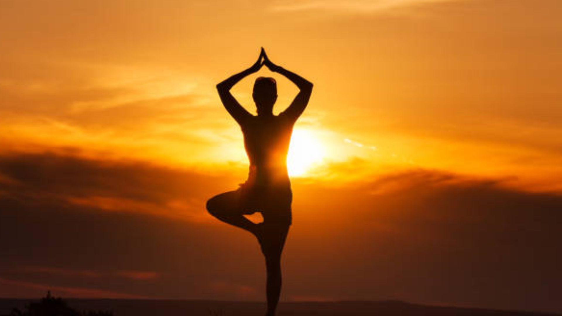 International yoga day 2026 