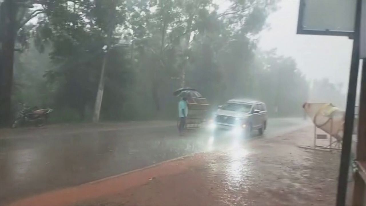 Rain