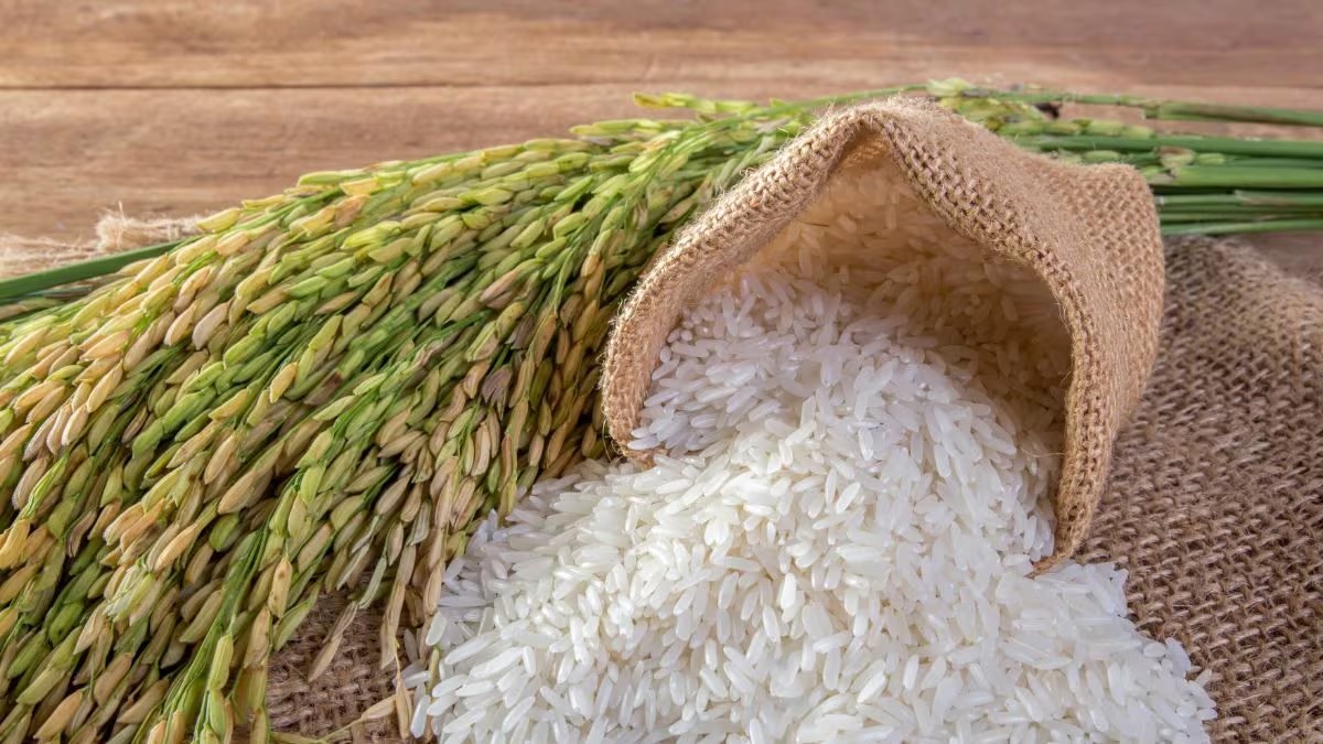 rice