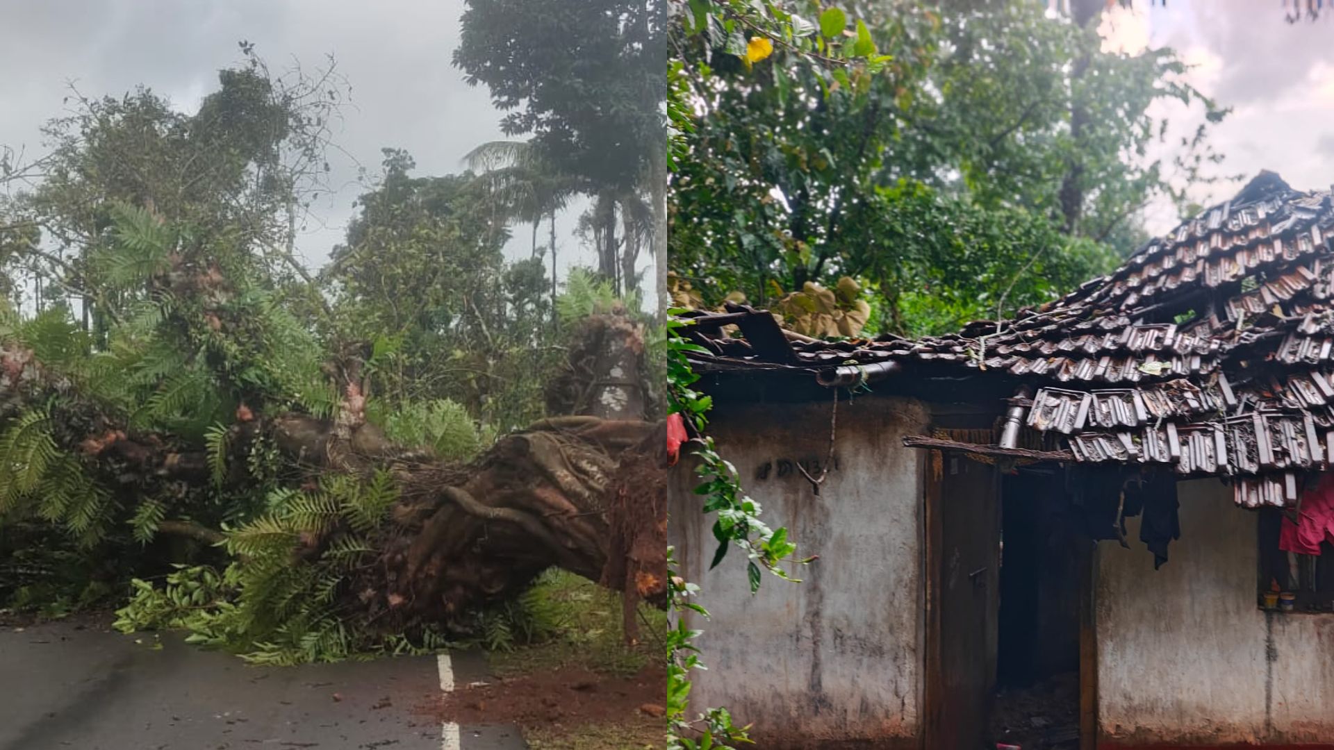 Karnataka Weather LATEST Update: Heavy Rain, Strong Winds Forecast