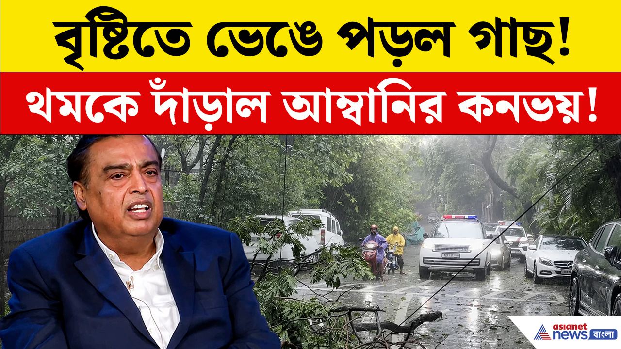 Mumbai Rains: মুম্বইয়ে বৃষ্টির তাণ্ডব! ভেঙে পড়ল গাছ থমকে দাঁড়াল মুকেশ আম্বানির কনভয়! দেখুন